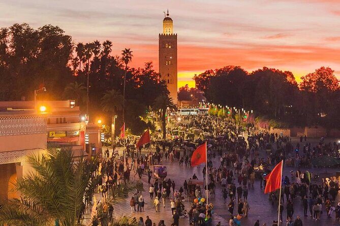 Marrakech : half-day guided Immersive City Tour, Old City & Souks - Who Will Love This Tour?