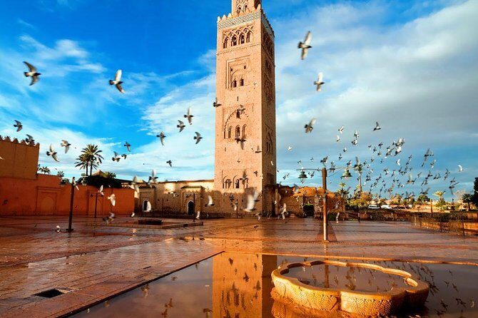 Marrakech: Half-Day Historical and Cultural Tour. - Who Should Book This Tour?