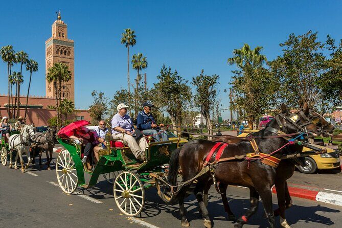 Marrakech Half Day Private Guided City Tour - Final Thoughts