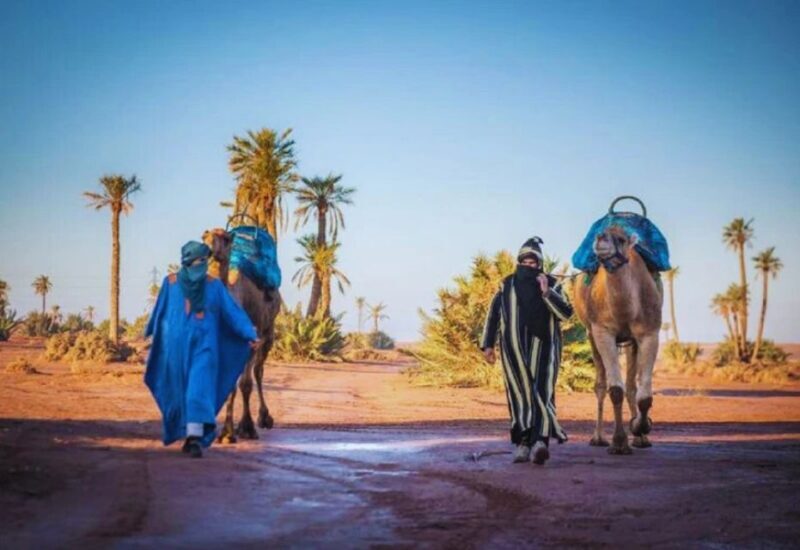 Marrakech Half Day Tour: Camel Ride And Quad Biking - Key Points