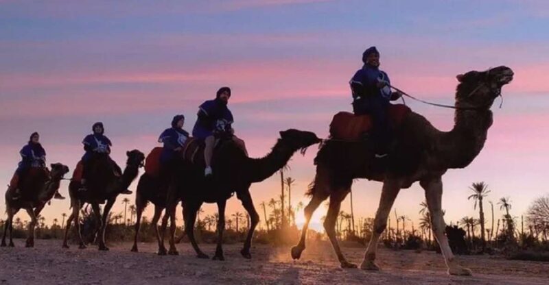 Marrakech Half Day Tour: Camel Ride And Quad Biking - Considerations and Tips
