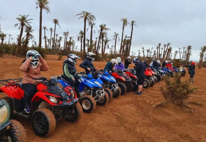 Marrakech Half Day Tour: Camel Ride And Quad Biking - Who Will Love This Tour?