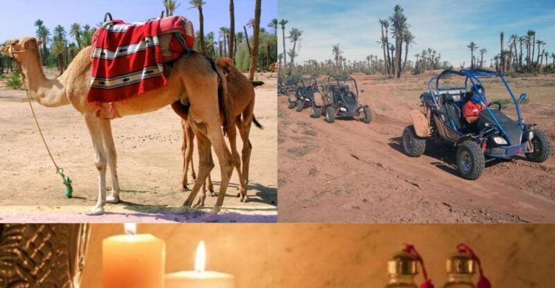 Marrakech: Half-Day Tour with Buggy Ride, Camel Ride and Spa - Who Will Love This Tour?