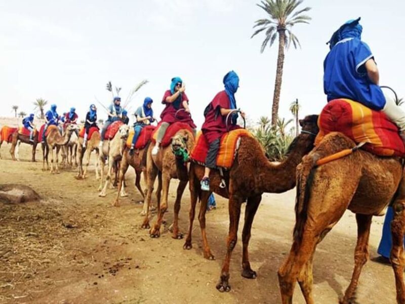 Marrakech: Half-Day Tour with Buggy Ride, Camel Ride and Spa - Detailed Breakdown of the Experience