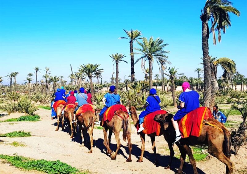 Marrakech: Half-Day Tour with Buggy Ride, Camel Ride and Spa - FAQs