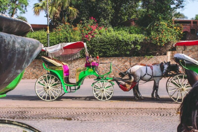 Marrakech: Hidden Souks Shopping Tour with Private Guide - Final Thoughts