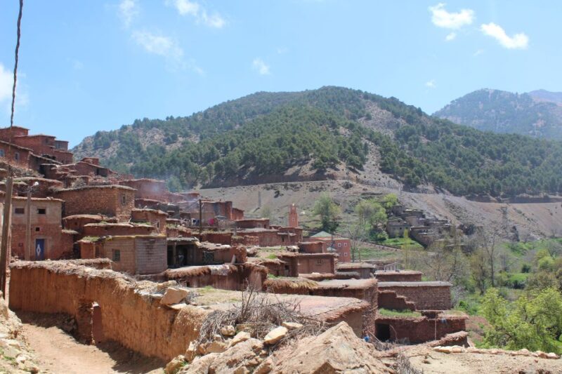 Marrakech: High Atlas Mountains and Agafay Desert Day Tour - Key Points