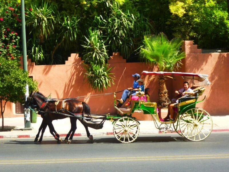 Marrakech: Horse-Drawn Carriage Tour - Key Points