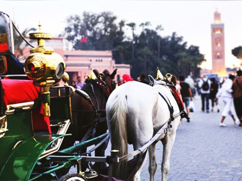 Marrakech: Horse-Drawn Carriage Tour - The Sum Up