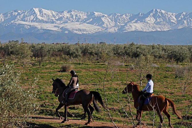 Marrakech Horse Riding - What to Expect from the Marrakech Horse Riding Tour