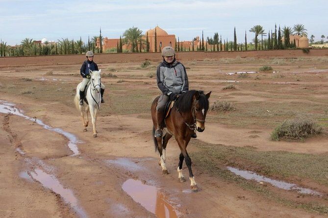 Marrakech Horse Riding - Authenticity and Review Insights