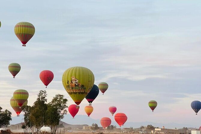Marrakech Hot Air Balloon Ride: Amazing sunrise experience - Key Points