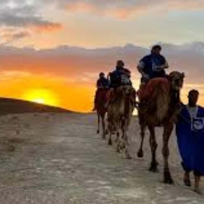 Marrakech: journey Tour with Locals - Key Points