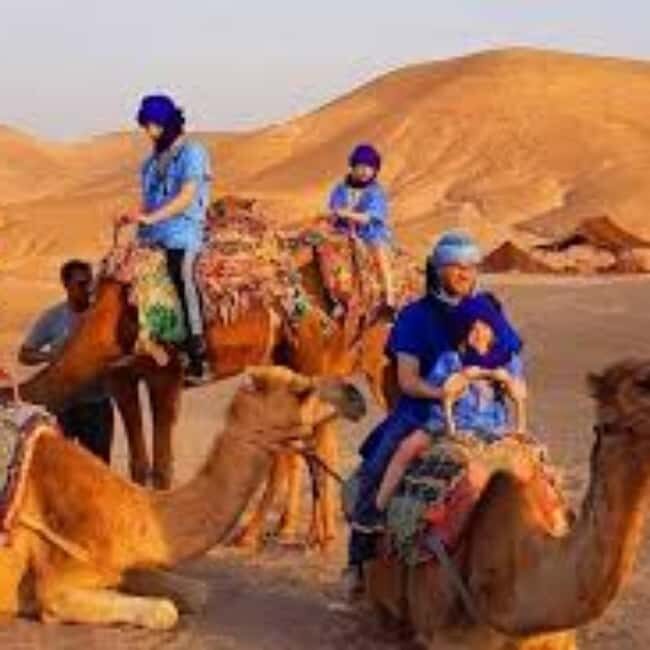Marrakech: journey Tour with Locals - An In-Depth Look at the Tour Experience