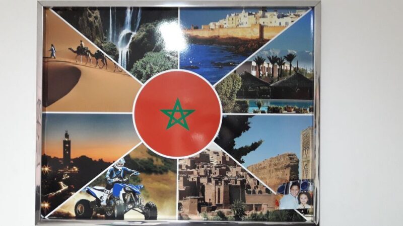 Marrakech: Majorel Garden, Camel ride in Palmerai, City trip - Majorelle Gardens and the Berber Museum