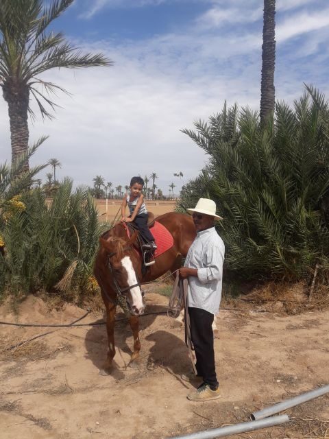 Marrakech: Majorel Garden, Camel ride in Palmerai, City trip - Marrakech City Tour