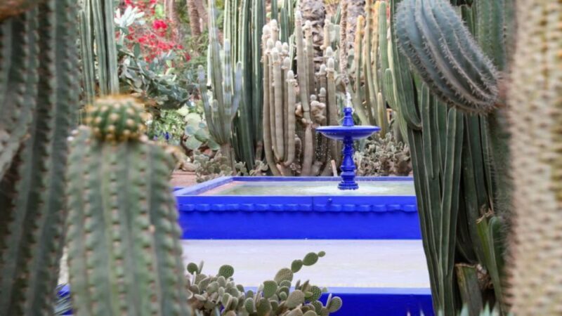 Marrakech: Majorelle Garden Entry Tickets Online - Introduction
