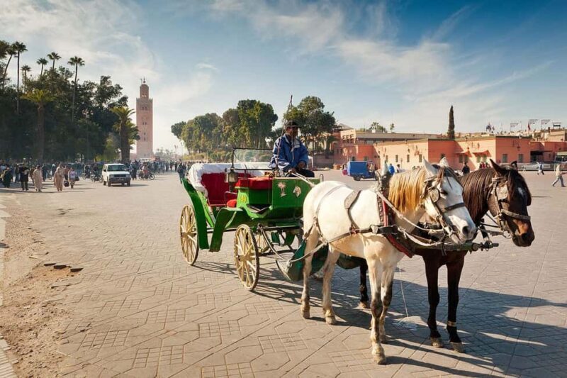 Marrakech: Majorelle Garden & Medina Tour with Carriage Ride - FAQs