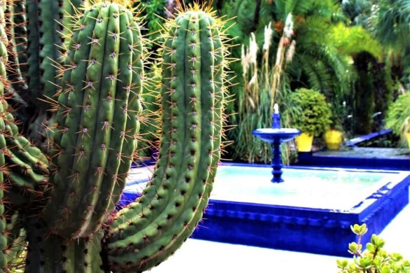 Marrakech: Majorelle Garden with a Digital Audio Guide App - Who Will Love This Tour