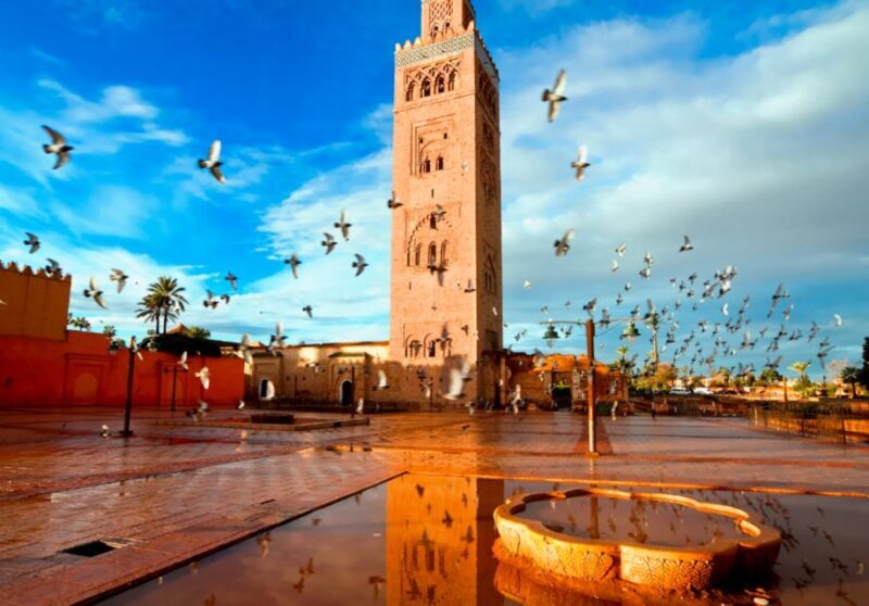 Marrakech: Old and New Marrakech Private Full Day Guide Tour - Authenticity and Value