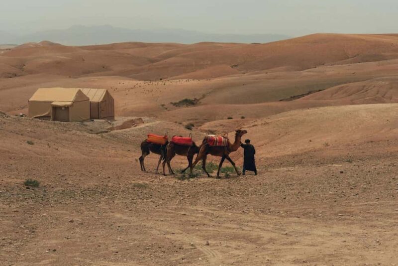 Marrakech/Ouarzazate: 2-Day Desert with Camel, 4x4 & Meals - Why This Tour Works Well
