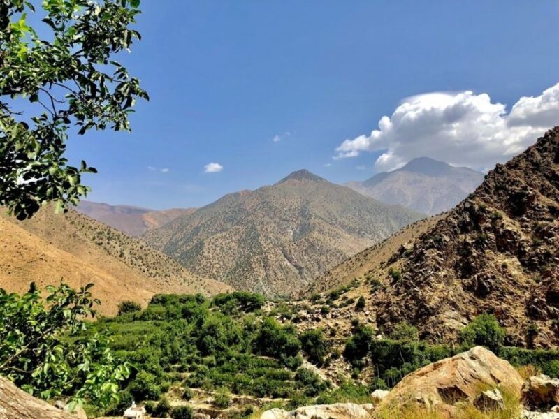 Marrakech: Ourika Valley & Atlas Mountains Half-Day Trip - What We Loved