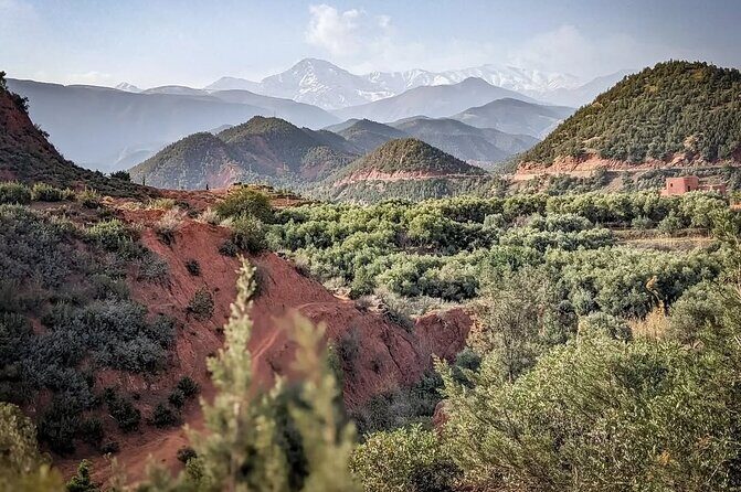 Marrakech: Ourika Valley, Atlas Mountains, Waterfall Hike & Lunch - Lunch by the River: Savoring Moroccan Flavors