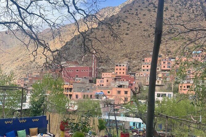 Marrakech: Ourika Valley, Atlas Mountains, Waterfall Hike & Lunch - Who Should Sign Up?