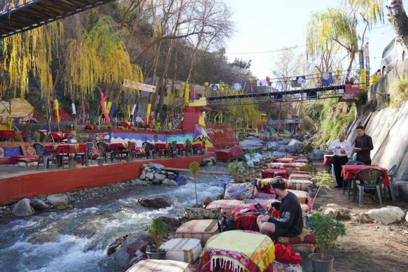 Marrakech: Ourika Valley, Atlas Mountains, Waterfall & Lunch - Analyzing the Experience: What You Can Expect