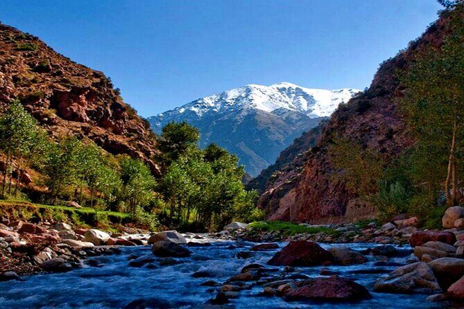 Marrakech: Ourika Valley, Atlas Waterfalls with Guide &Lunch - A Traditional Berber Meal (Optional)