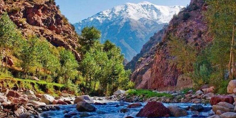 Marrakech: Ourika valley day trip, Guided & Camel tours - Analyzing the Value