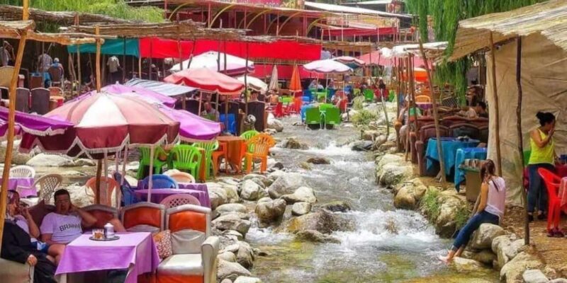 Marrakech: Ourika valley day trip, Guided & Camel tours - Practical Considerations