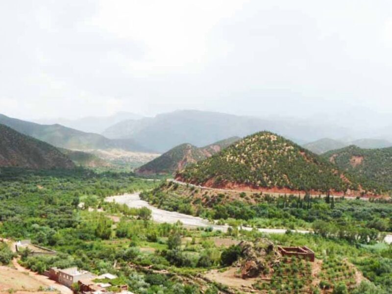 Marrakech: Ourika Valley Day Trip with Berber Village - What You Can Expect on the Tour