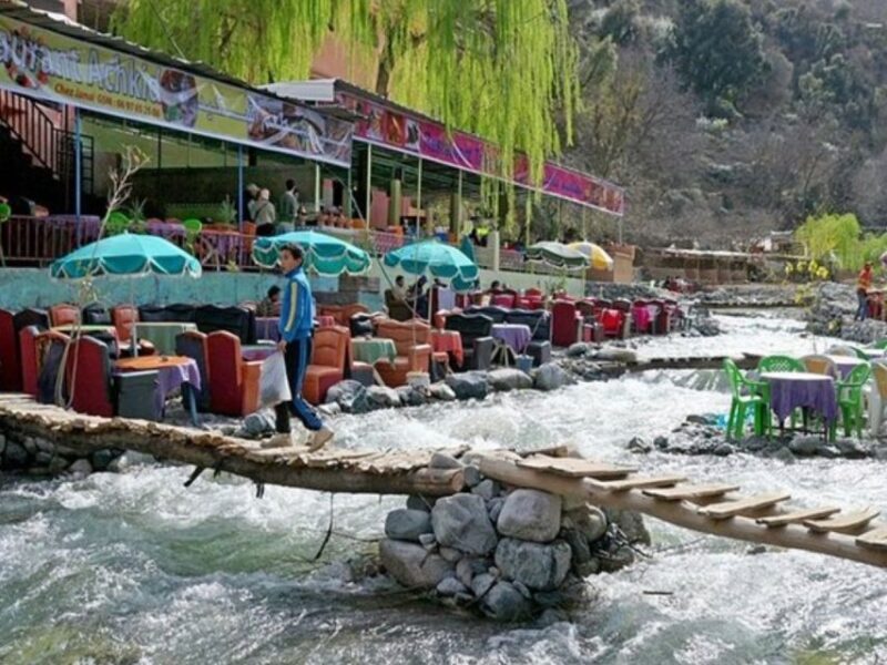 Marrakech: Ourika Valley Day Trip with Berber Village - Who Is This Tour Best Suited For?