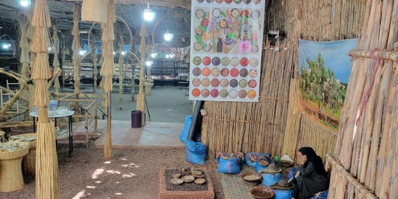 Marrakech : Ourika Valley,Atlas Mountains ,Waterfalls &Guide - The Sum Up: Who Will Love This Tour?