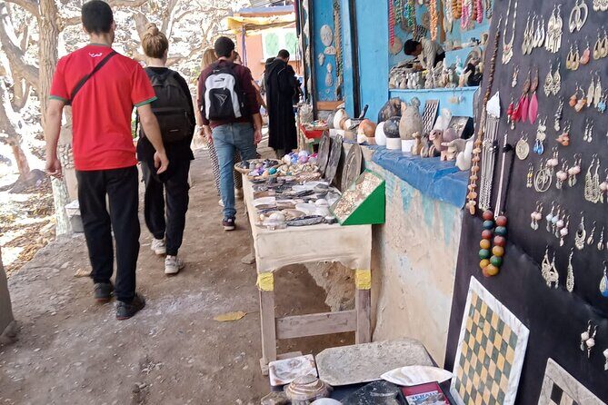 Marrakech: Ourika Valley,Atlas Mountains,waterfall with guide - Who Is This Tour Best For?