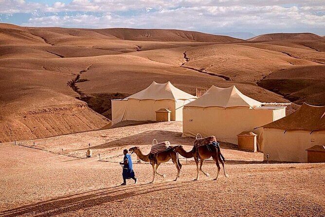 Marrakech: Ourika Waterfalls Atlas Mountains with Lunch - Key Points