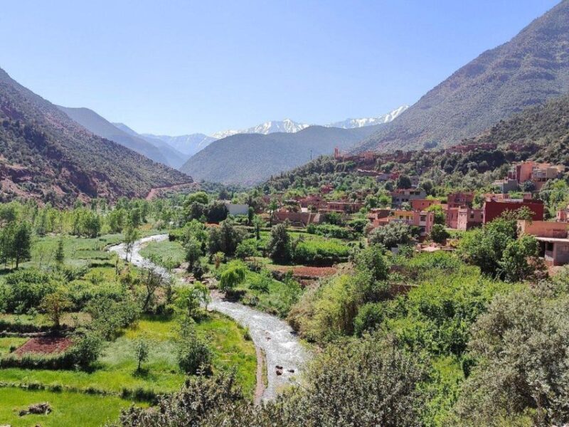 Marrakech: Ouzoud Waterfall, Guided Hike, Boat Ride & Lunch - Transportation and Group Dynamics