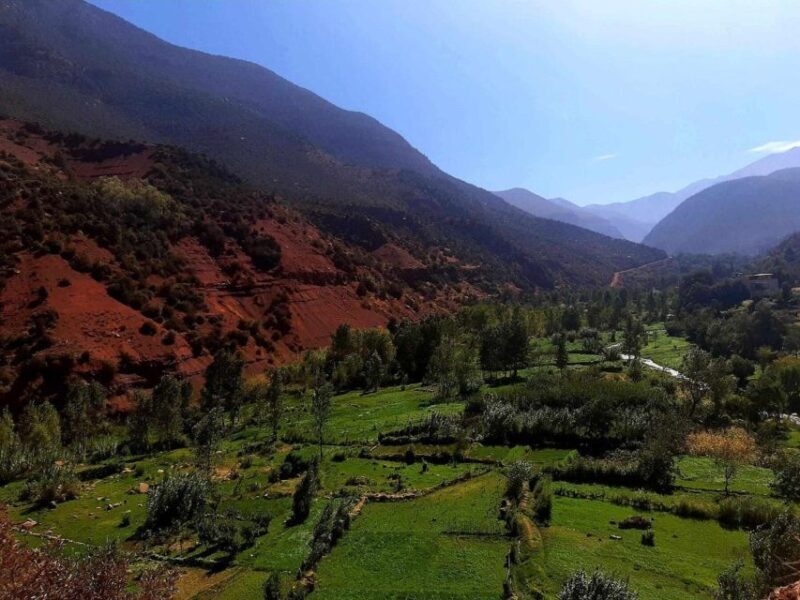 Marrakech: Ouzoud Waterfall, Guided Hike, Boat Ride & Lunch - FAQ