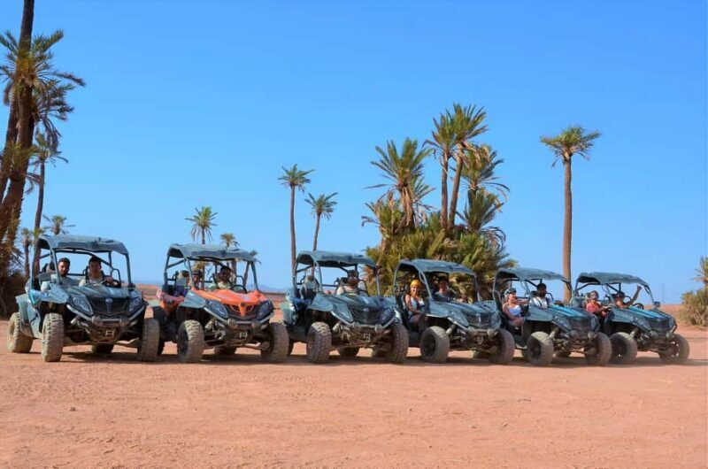 Marrakech: Palm Grove and Desert Buggy excursion - Authenticity and Customer Praise