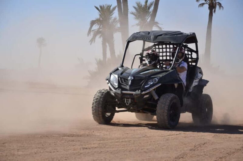 Marrakech: Palm Grove and Desert Buggy excursion - Final Thoughts: Is This Tour for You?