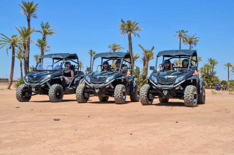 Marrakech: Palm Grove and Desert Buggy excursion - The Sum Up: A Great Choice for Active Explorers