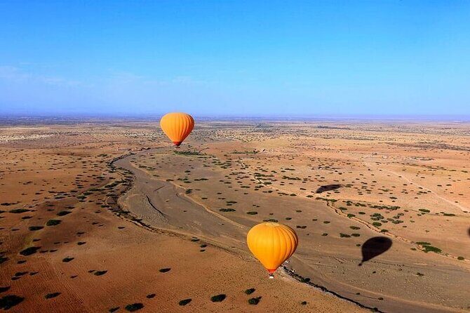 Marrakech Palm Grove Camel Ride with Tea-Break - Who Should Consider This Tour?