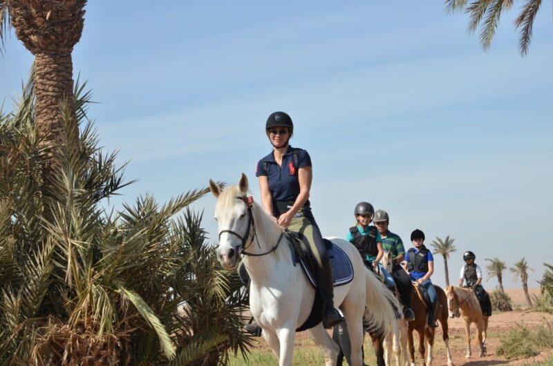 Marrakech: Palm Grove Horseback Riding Tour - A Detailed Look at the Marrakech Palm Grove Horseback Ride