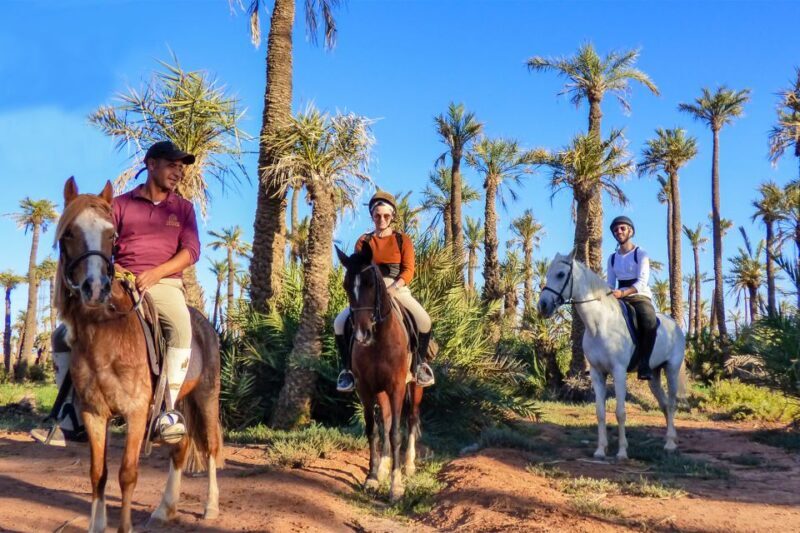 Marrakech: Palm Grove Horseback Riding Tour - Authentic Experiences Validated by Travelers