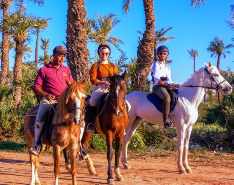 Marrakech: Palm Grove Horseback Riding Tour - The Sum Up