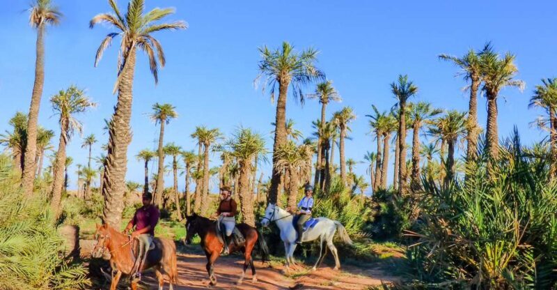 Marrakech: Palm Grove Horseback Riding Tour - Frequently Asked Questions