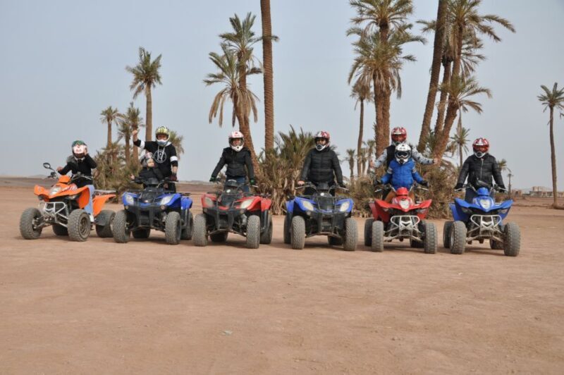 Marrakech: Palm Grove Quad Bike Tour - Key Points