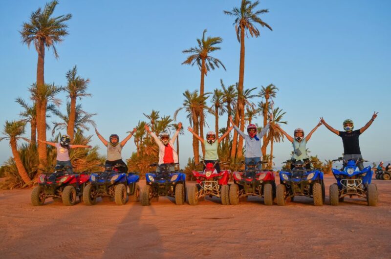 Marrakech: Palm Grove Quad Bike Tour - An Overview of the Marrakech Palm Grove Quad Bike Experience