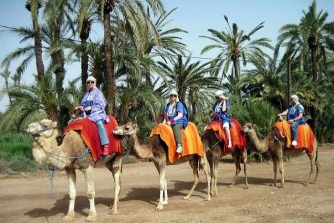 Marrakech Palmeraie: Camel Ride at Sunset - FAQ